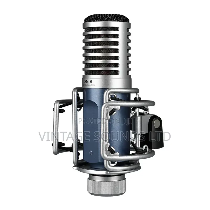 Takstar SM-9 Professional Recording Condenser Microphone