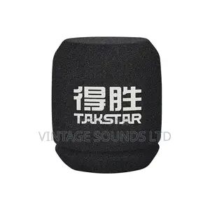 Takstar SM-9 Professional Recording Condenser Microphone