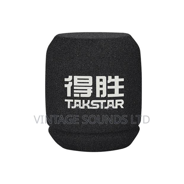 Takstar SM-9 Professional Recording Condenser Microphone - thumbnail 4