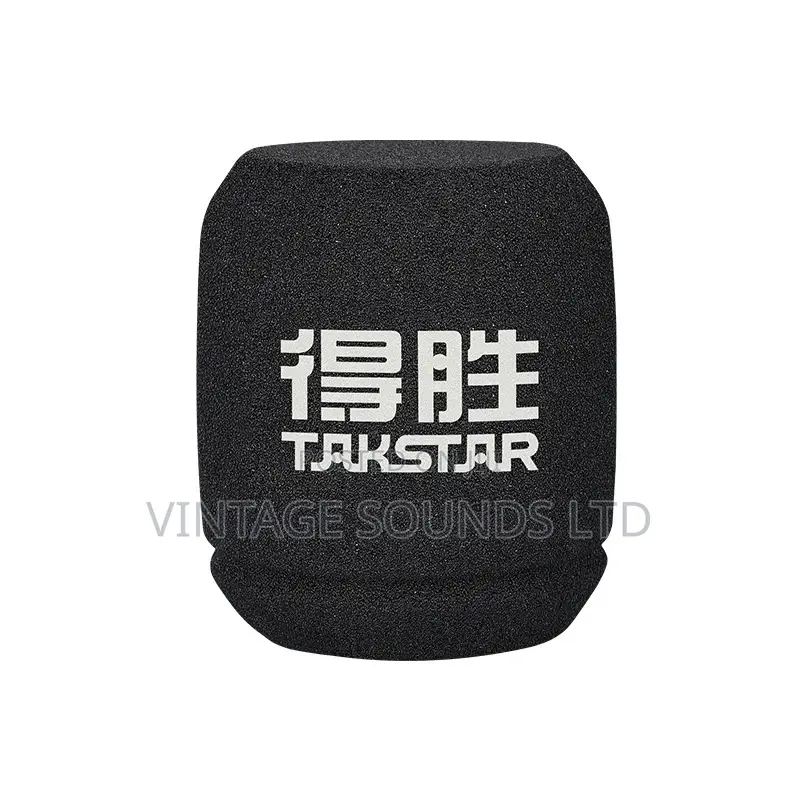 Takstar SM-9 Professional Recording Condenser Microphone
