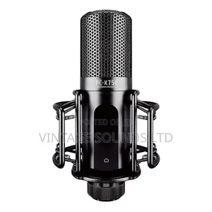 TASTAR PC- Professional Recording Condenser Microphone