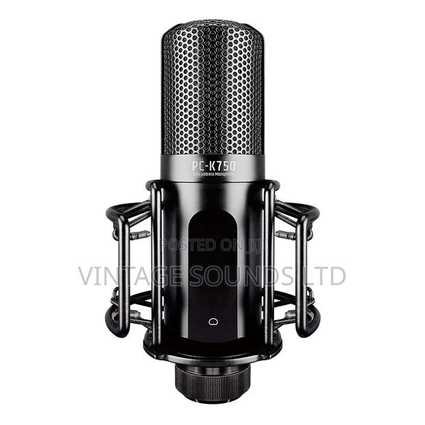 TASTAR PC- Professional Recording Condenser Microphone - main view
