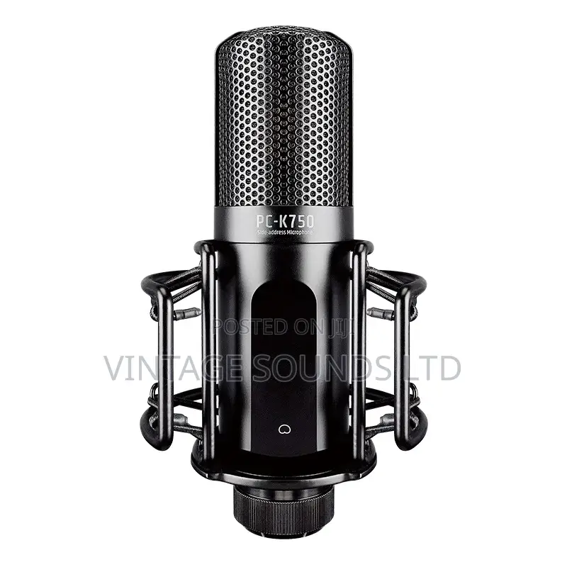 TASTAR PC- Professional Recording Condenser Microphone