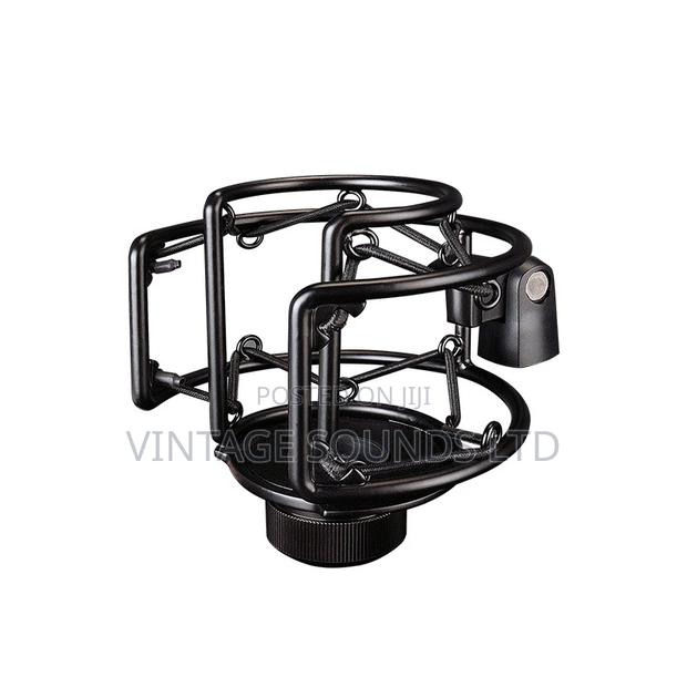 TASTAR PC- Professional Recording Condenser Microphone - thumbnail 3