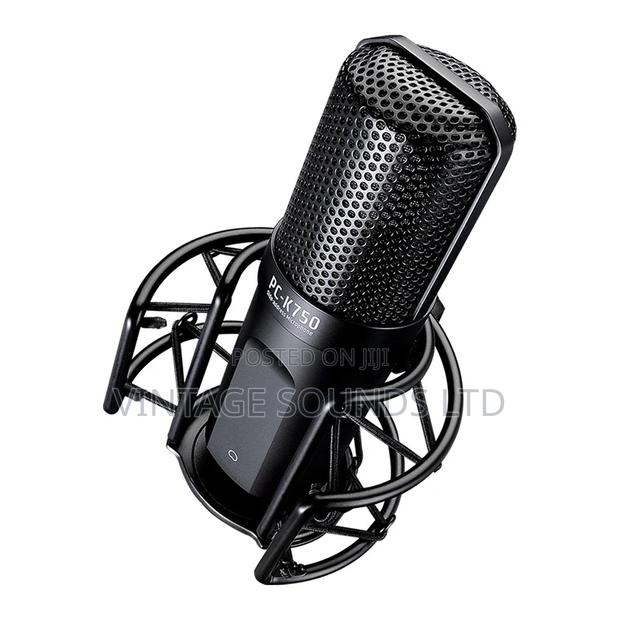 TASTAR PC- Professional Recording Condenser Microphone - thumbnail 2