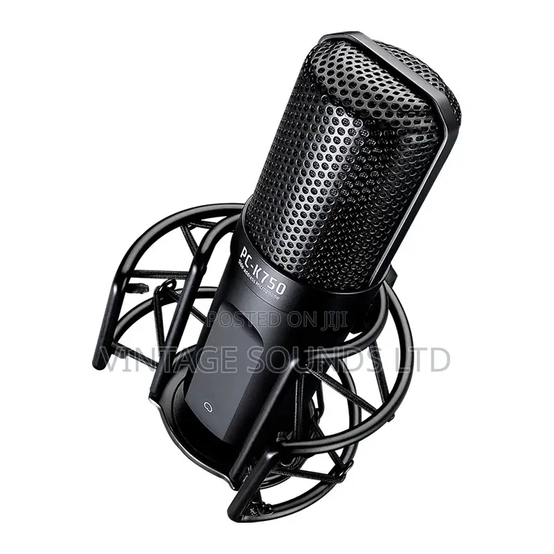 TASTAR PC- Professional Recording Condenser Microphone