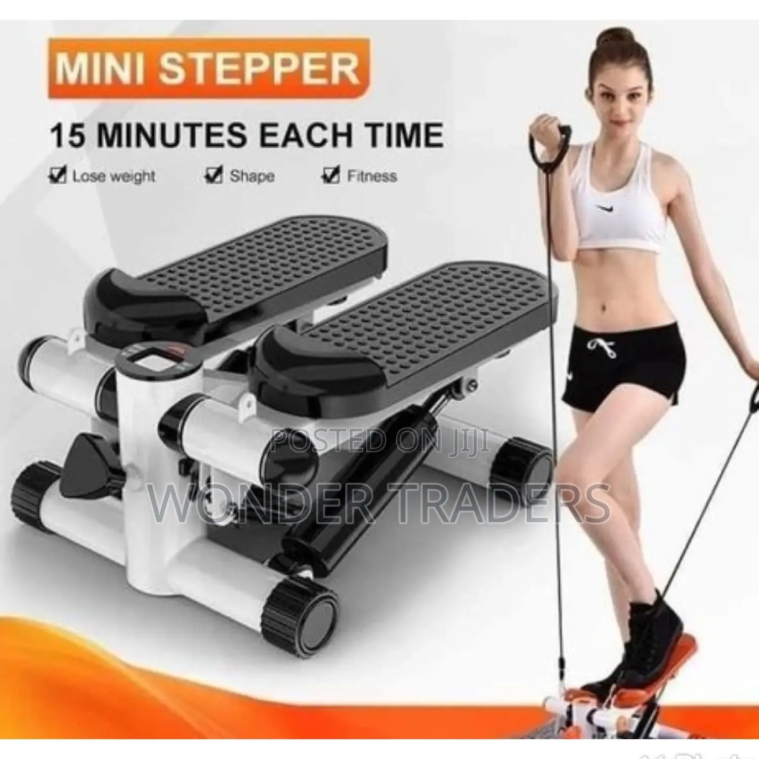Exercise MINI Stepper Machine.