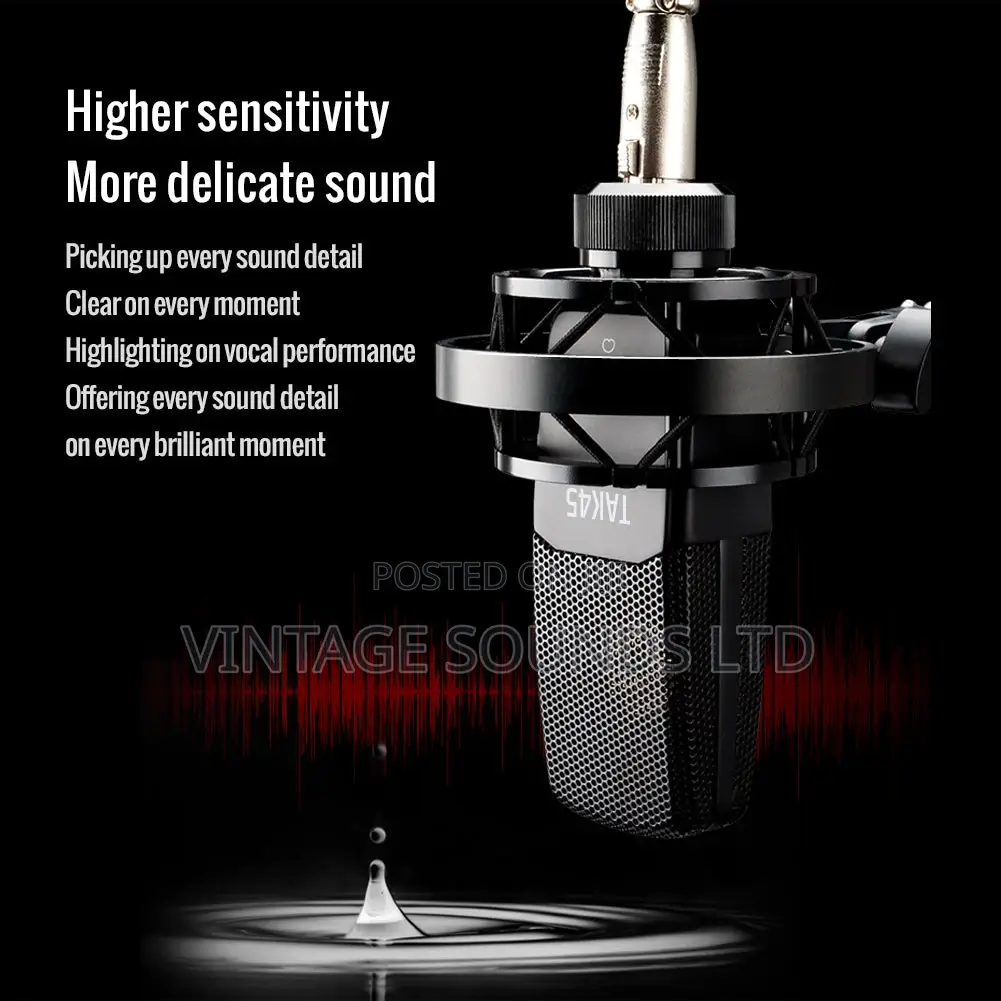 Takstar TAK45 Recording Condenser Microphone