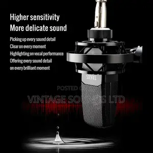 Takstar TAK45 Recording Condenser Microphone