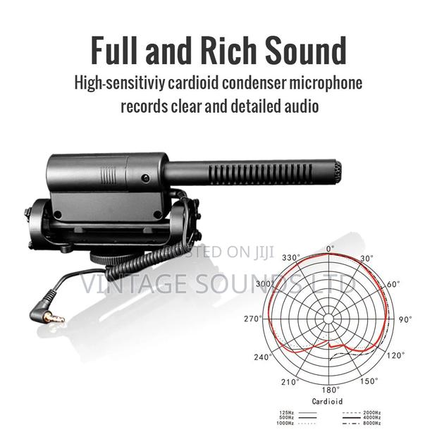 SGC-598 Model Takstar Shotgun Camera Video Microphone