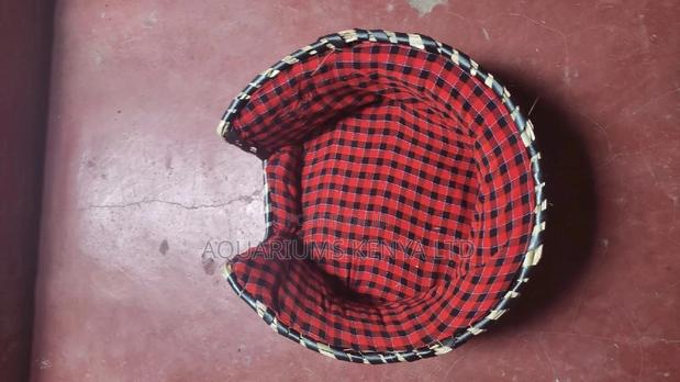 Pet Bed Available