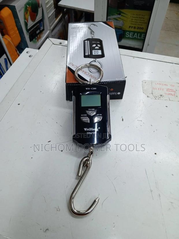 Weiheng Mini 200/100kg Crane Scale - main view