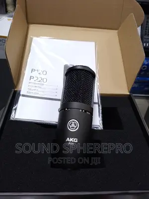 AKG P120 Condenser Microphone