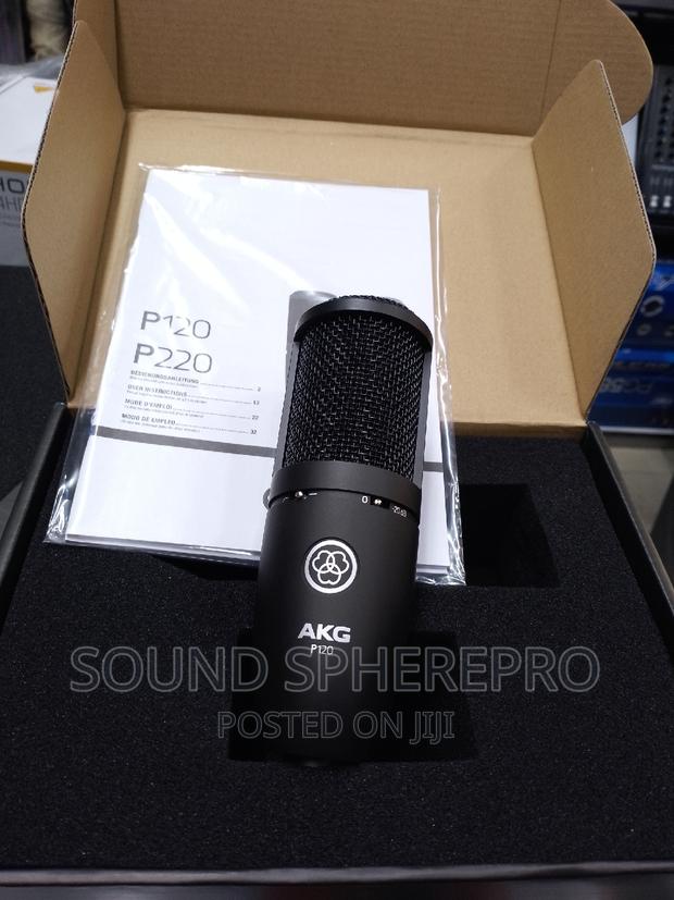 AKG P120 Condenser Microphone - thumbnail 2