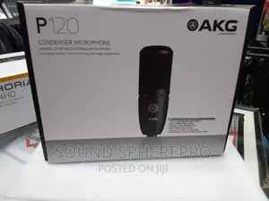 AKG P120 Condenser Microphone