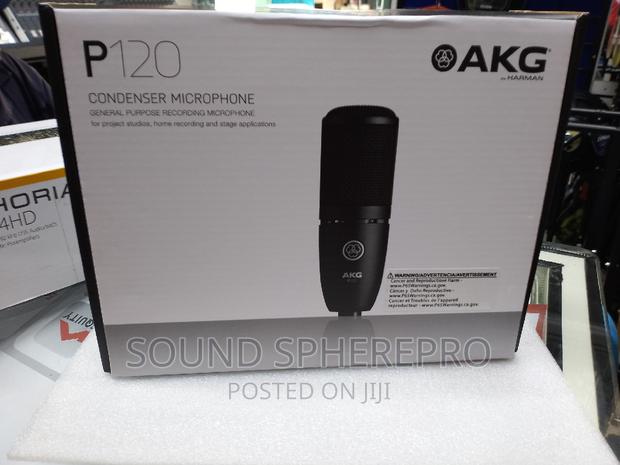AKG P120 Condenser Microphone - main view