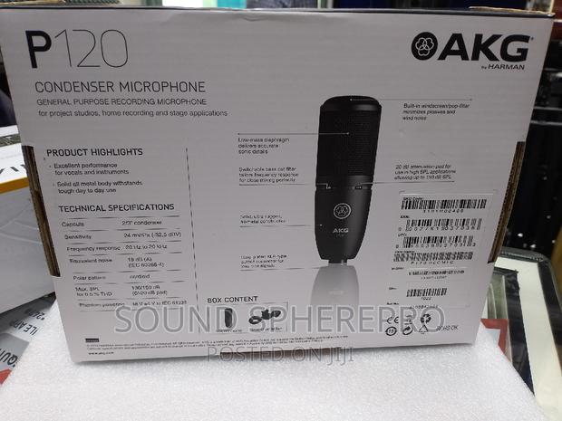 AKG P120 Condenser Microphone - thumbnail 3