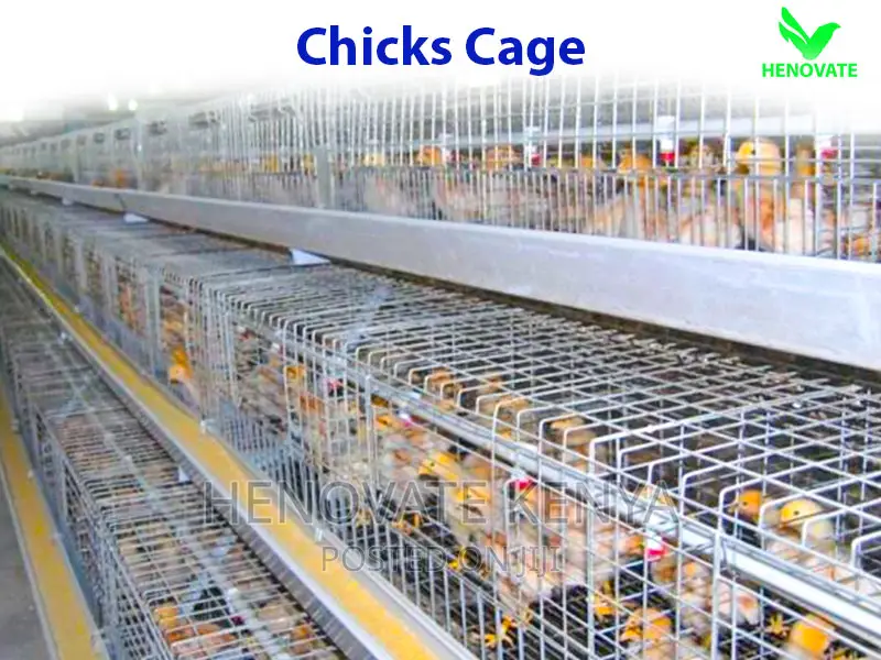 Layer Baby Chick Cages Available in Kiambu Ruiru Saves Space