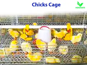 Layer Baby Chick Cages Available in Kiambu Ruiru Saves Space