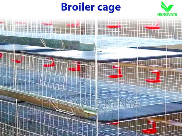 Broiler Cage With Automatic Harvesting System - main view