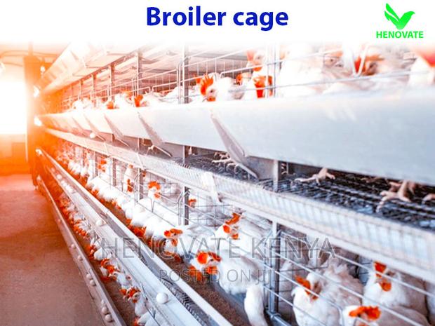 Broiler Cage With Automatic Harvesting System - thumbnail 4