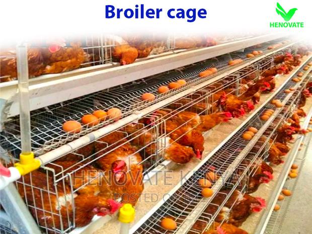 Broiler Cage With Automatic Harvesting System - thumbnail 3
