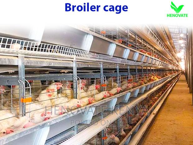 Broiler Cage With Automatic Harvesting System - thumbnail 5