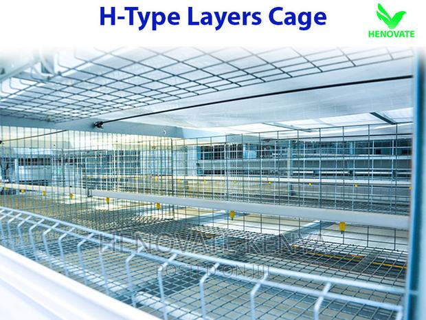 H Type Layer Chicken Cage in Kenya - thumbnail 3