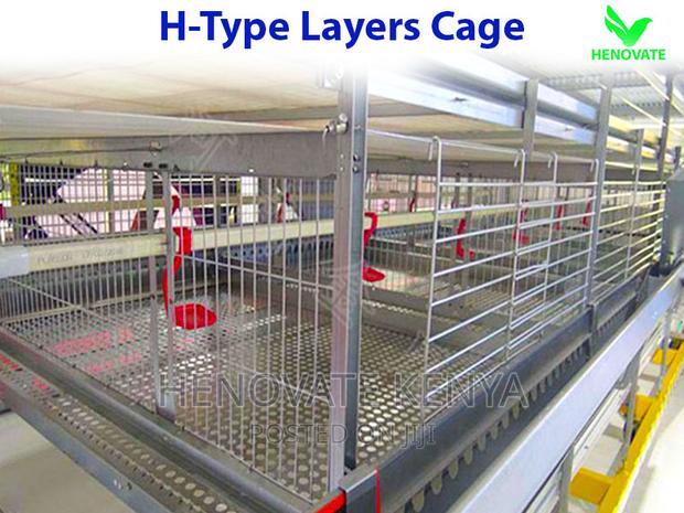 H Type Layer Chicken Cage in Kenya - main view
