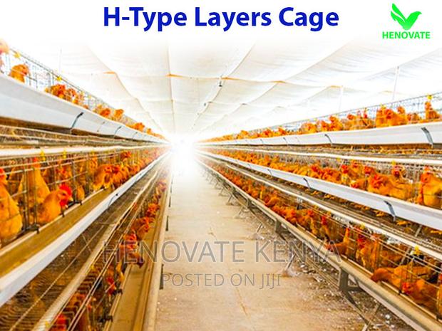 H Type Layer Chicken Cage in Kenya - thumbnail 2