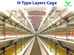 H Type Layer Chicken Cage in Kenya