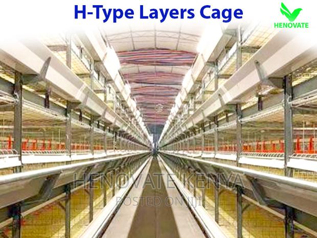H Type Layer Chicken Cage in Kenya - thumbnail 4