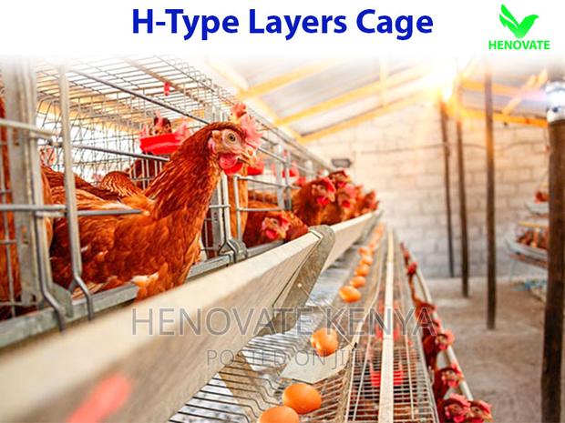 H Type Layer Chicken Cage in Kenya - thumbnail 5