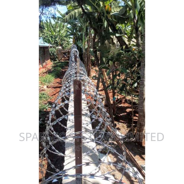 450mm Double Galvanized Razor Wire