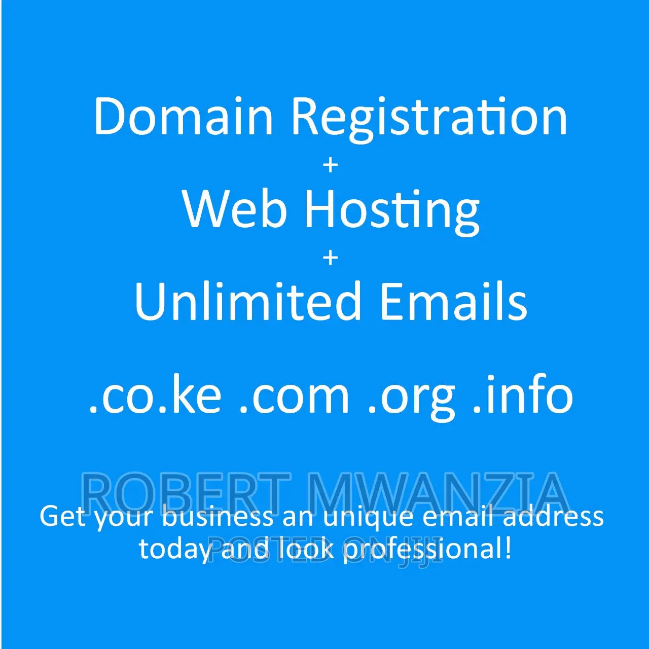 Domain Registration, Business Email