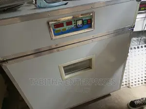 Automatic Egg Incubator 3168