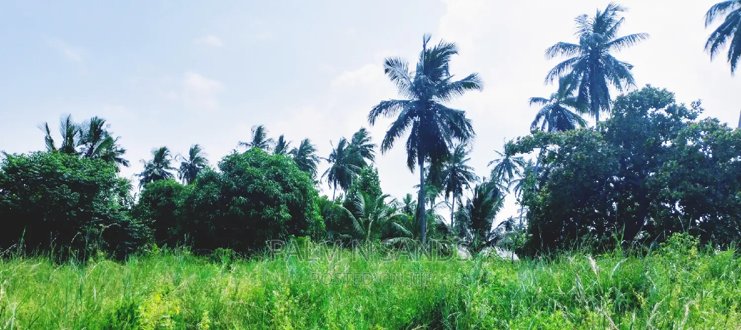 18 Acres Farm on Sale