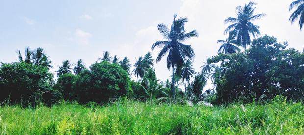 18 Acres Farm on Sale - main view