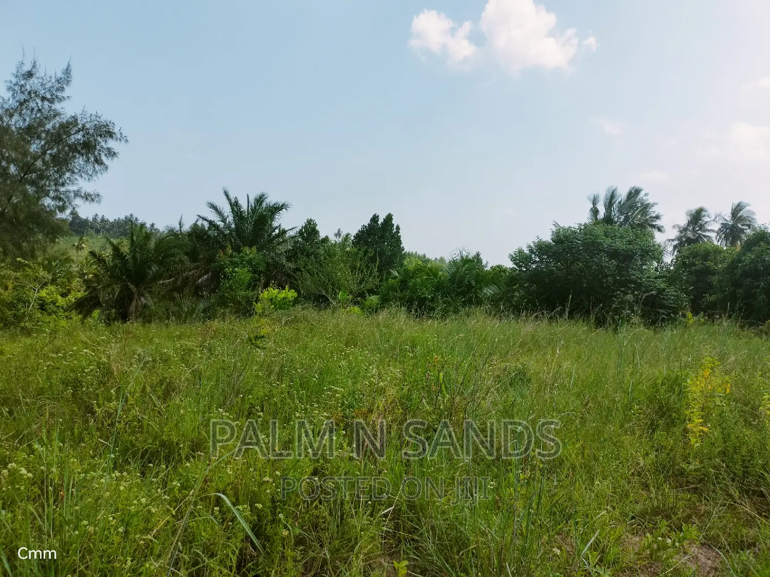 18 Acres Farm on Sale