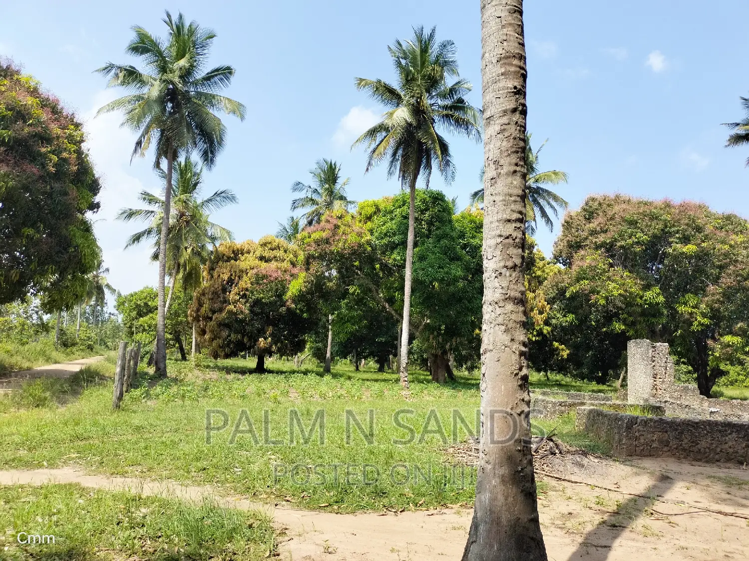 18 Acres Farm on Sale