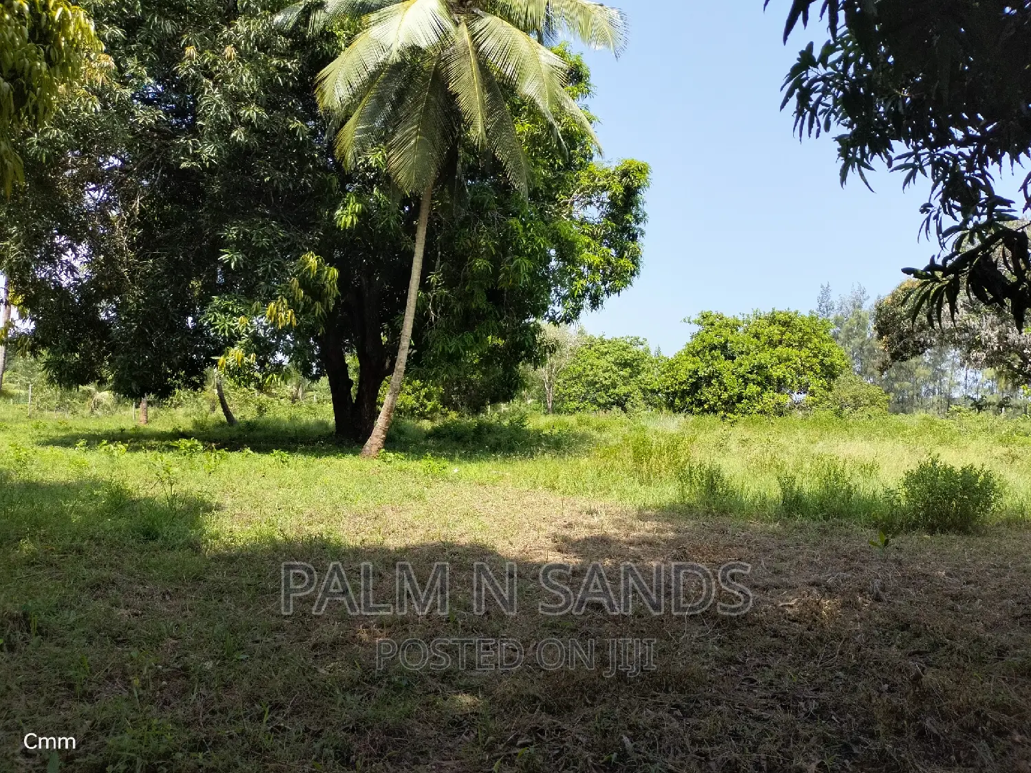 18 Acres Farm on Sale