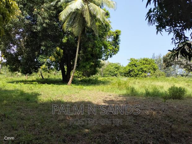 18 Acres Farm on Sale - thumbnail 6