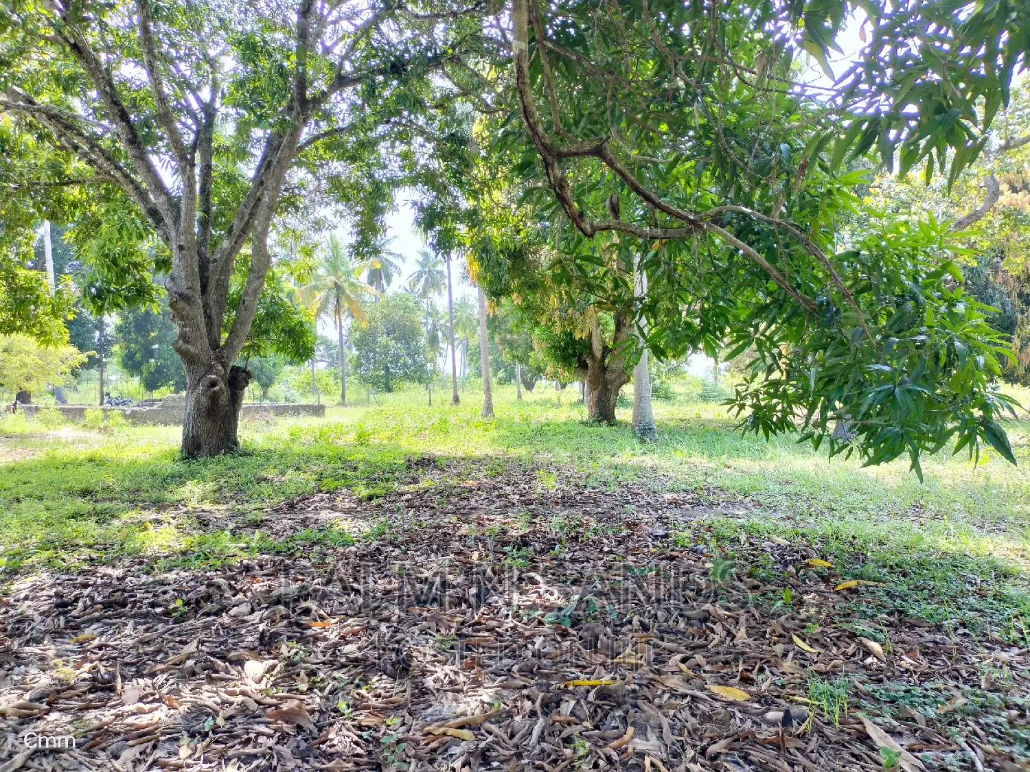 18 Acres Farm on Sale