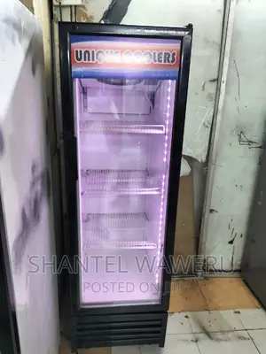 Display Fridge