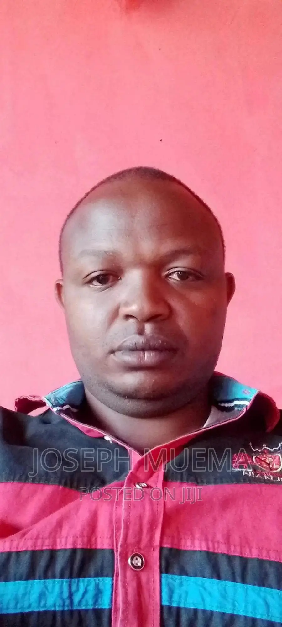 Accountant CPA Holder