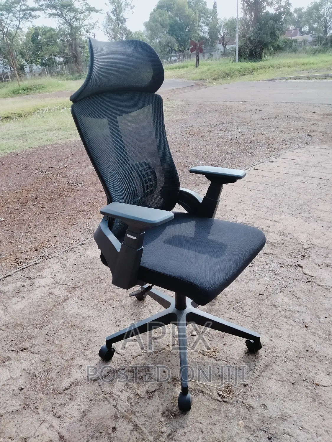Office Chairs Office Chairs Office Chairs Office Chairs