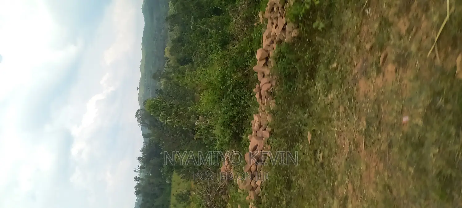 Gem Wagai (Komuok School) in South Gem Land & Plots for Sale, Nyamiyo