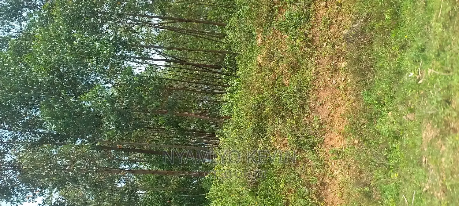 Gem Wagai (Komuok School) in South Gem Land & Plots for Sale, Nyamiyo