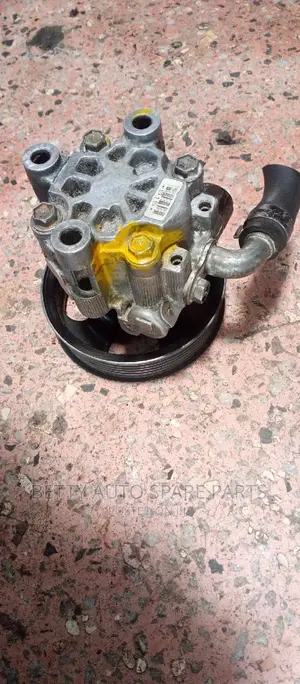 Toyota Camry 2az Cartilage or Power Steering