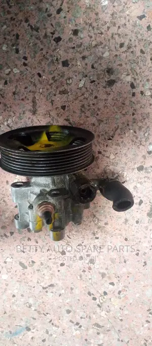Toyota Camry 2az Cartilage or Power Steering